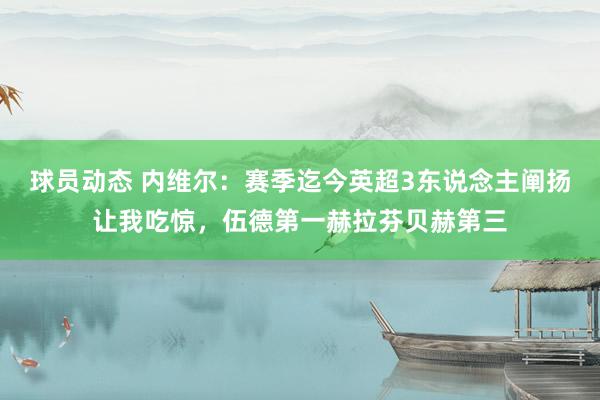 球员动态 内维尔：赛季迄今英超3东说念主阐扬让我吃惊，伍德第一赫拉芬贝赫第三