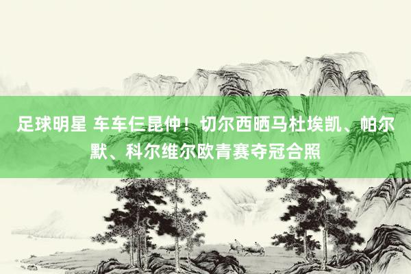 足球明星 车车仨昆仲！切尔西晒马杜埃凯、帕尔默、科尔维尔欧青赛夺冠合照