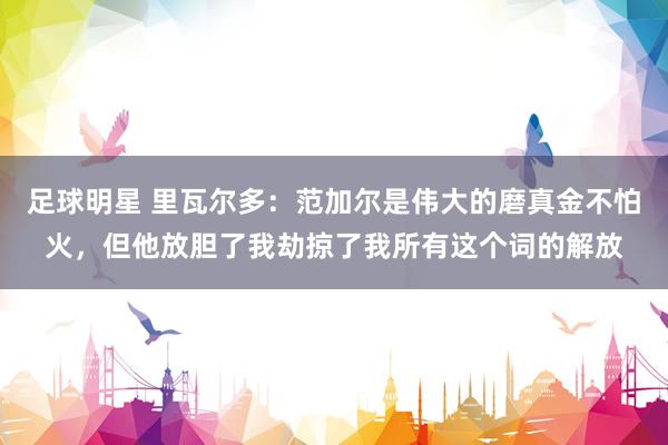 足球明星 里瓦尔多：范加尔是伟大的磨真金不怕火，但他放胆了我劫掠了我所有这个词的解放