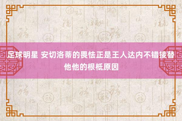 足球明星 安切洛蒂的畏怯正是王人达内不错接替他他的根柢原因