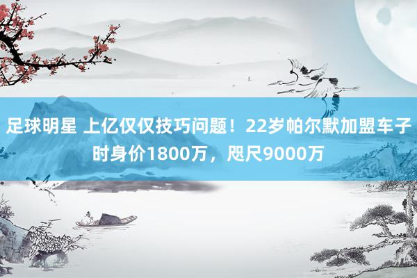 足球明星 上亿仅仅技巧问题！22岁帕尔默加盟车子时身价1800万，咫尺9000万