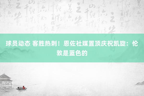 球员动态 客胜热刺！恩佐社媒置顶庆祝凯旋：伦敦是蓝色的