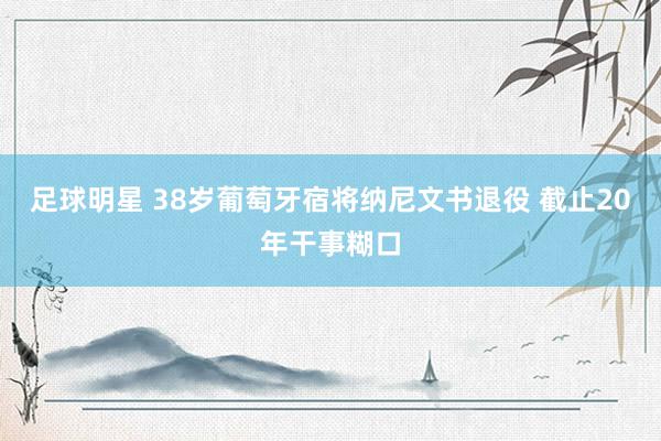 足球明星 38岁葡萄牙宿将纳尼文书退役 截止20年干事糊口